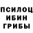 Псилоцибиновые грибы прущие грибы Shturmovic