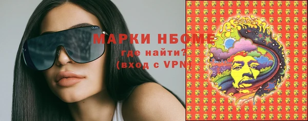 сатива Гусиноозёрск