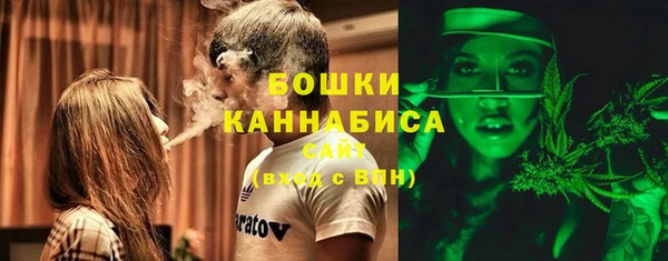 сатива Гусиноозёрск